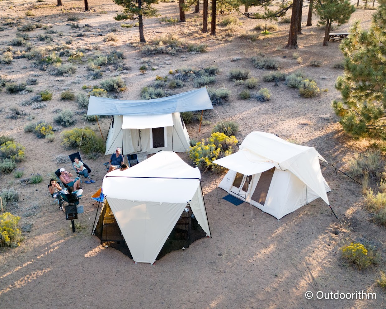 Canvas tents pitched at a group campsite among tall trees